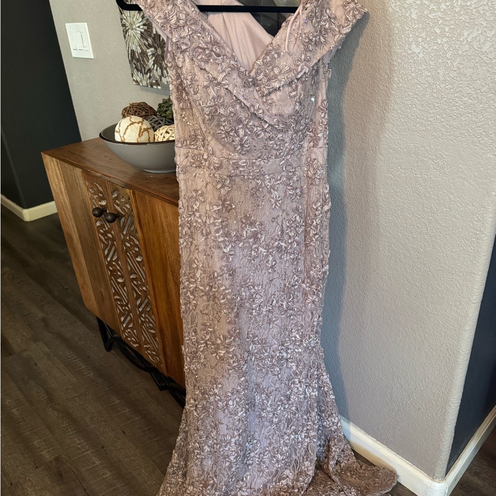 Xscape Blush Lace Evening Dress